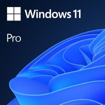 Windows 11 Pro - Licentie