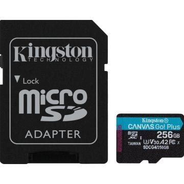 Kingston Canvas Go! Plus Gen 4 256GB - Flashgeheugenkaart