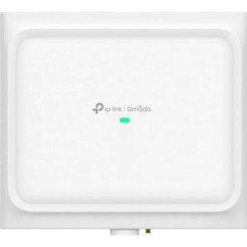 TP-Link Omada EAP650 D30-Outdoor V1 - Draadloze-toegangspunt