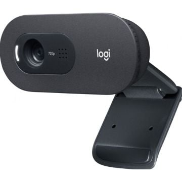Logitech C505 HD - Webcam