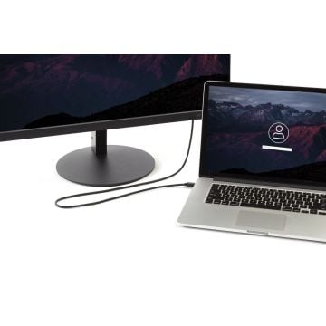 StarTech.com MDP2DPMM6 - DisplayPort kabel